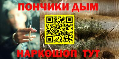 ALPHA PVP Бердск