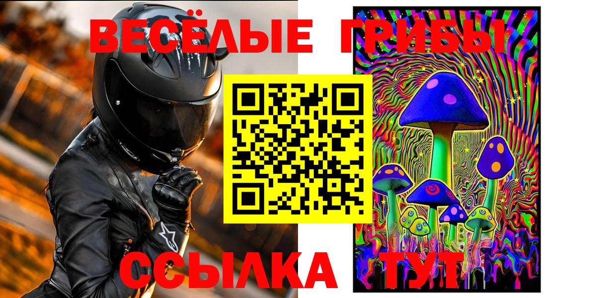 Алексеевка  Галлюциногенные грибы Psilocybe  Вход с VPN 